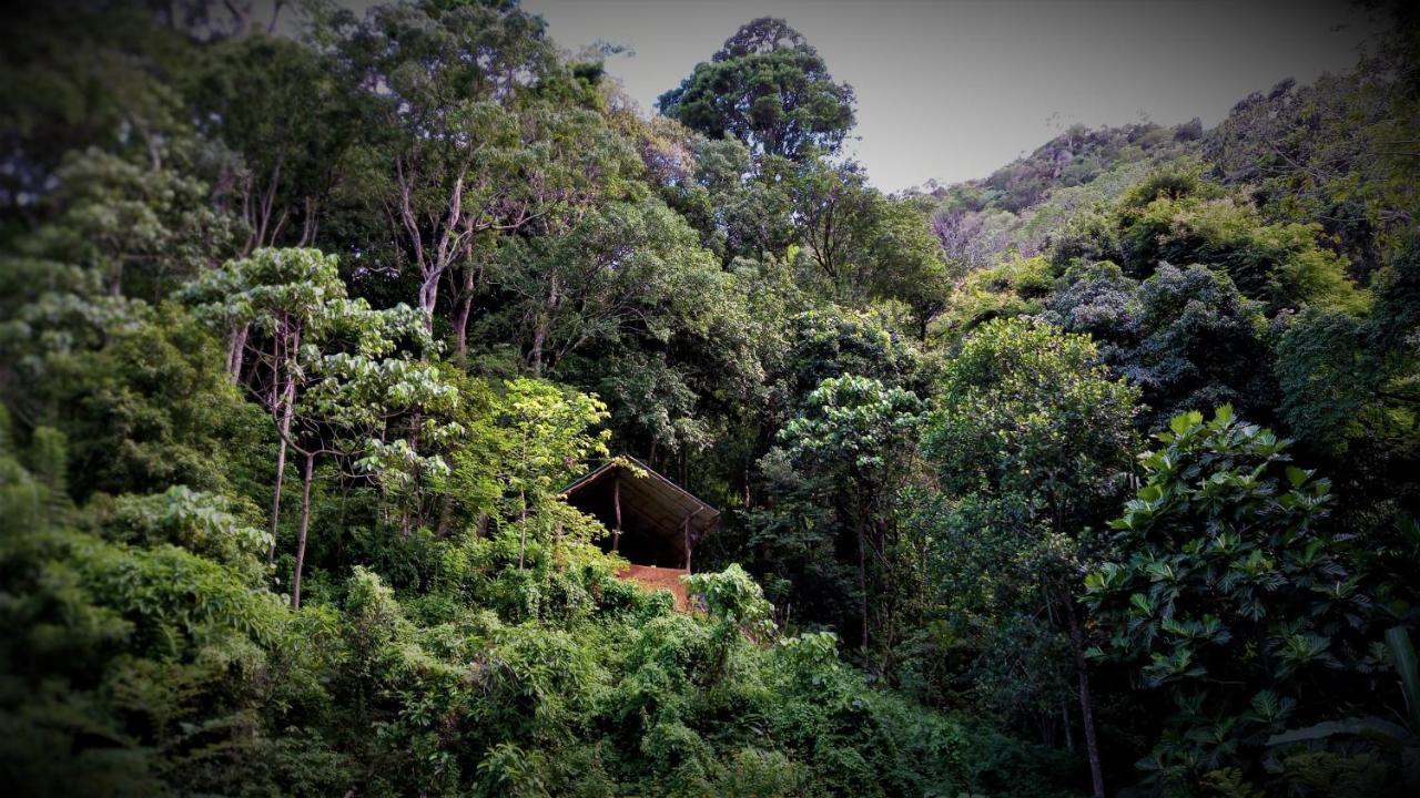 Chalet In The Jungle Pallegama Kültér fotó