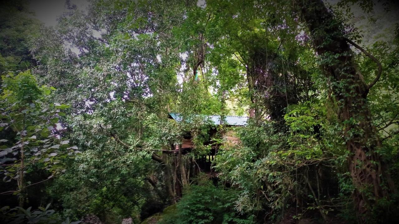 Chalet In The Jungle Pallegama Kültér fotó