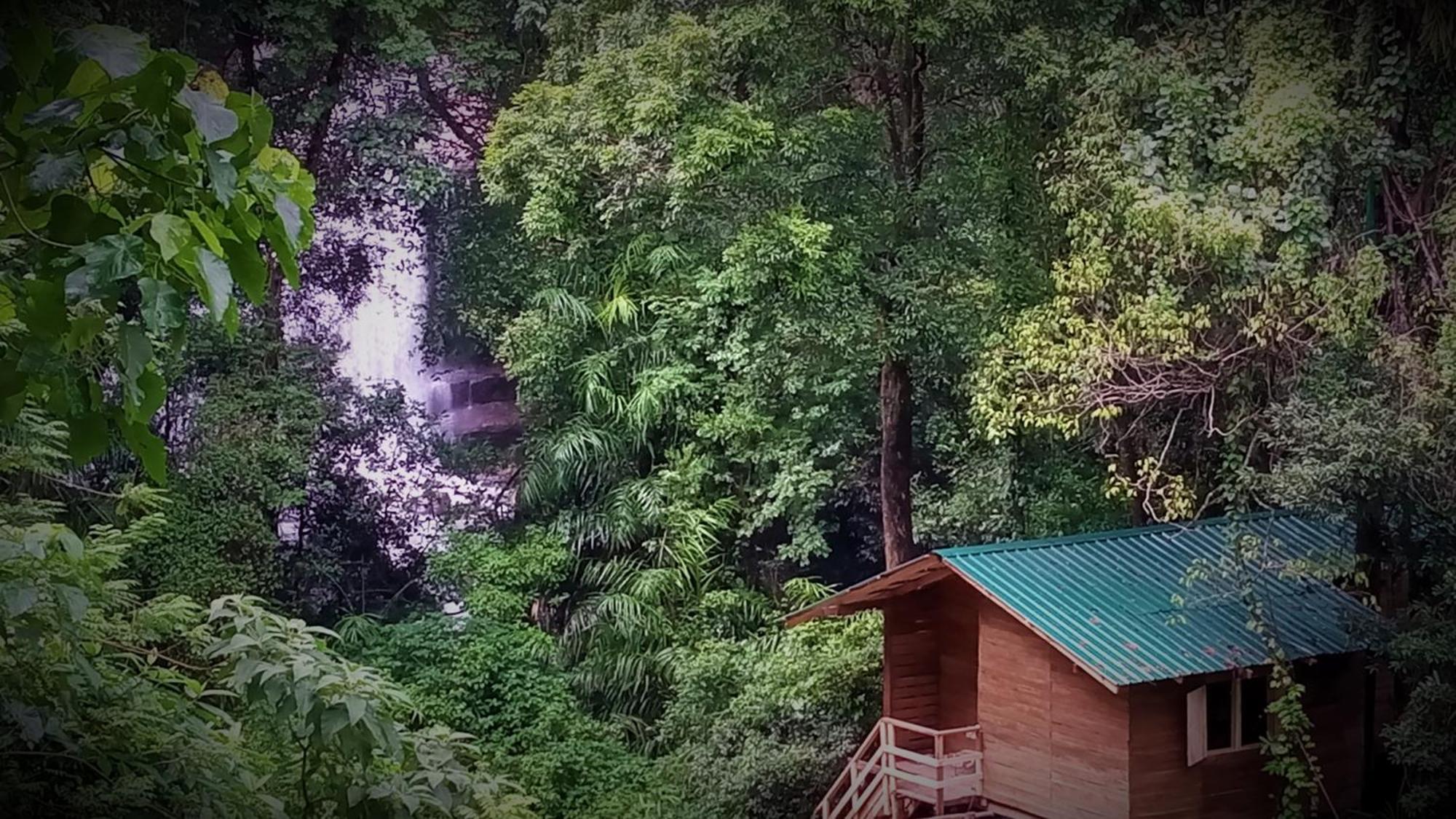 Chalet In The Jungle Pallegama Kültér fotó